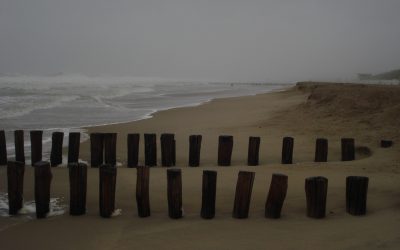 Storm de stilte tegemoet